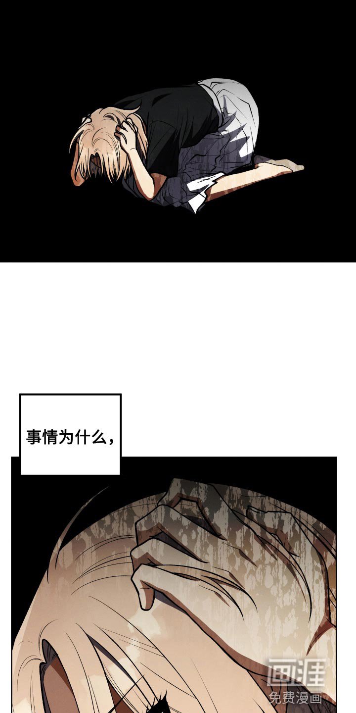 第37章：想看