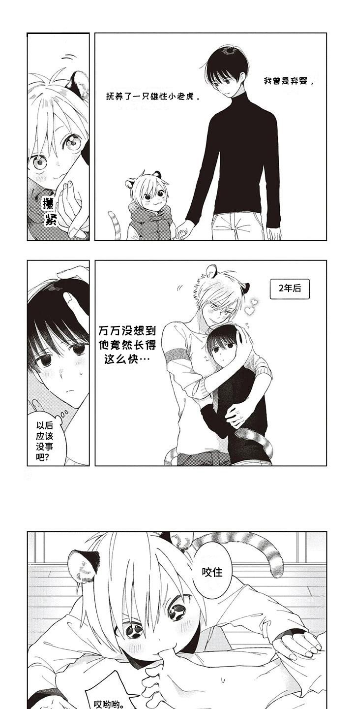 第1章：小老虎