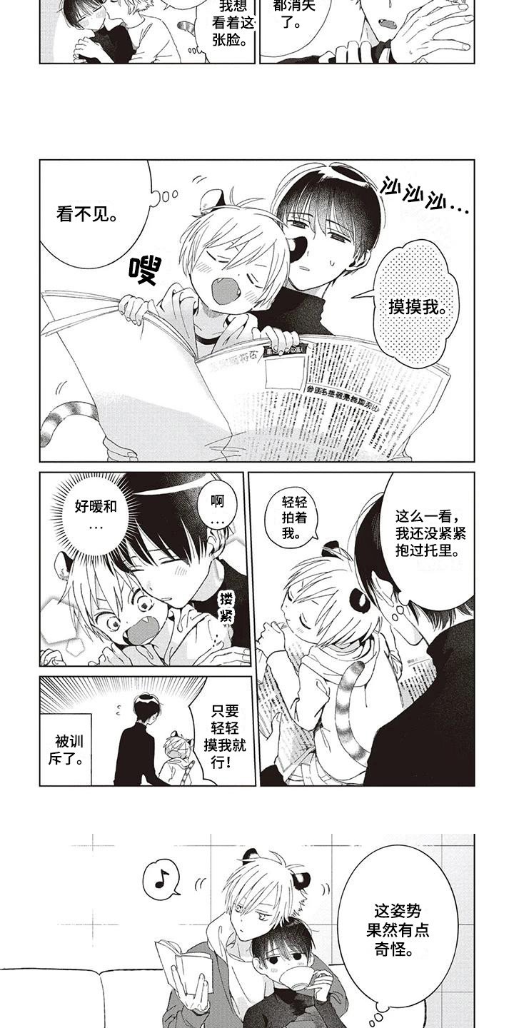 第1章：小老虎