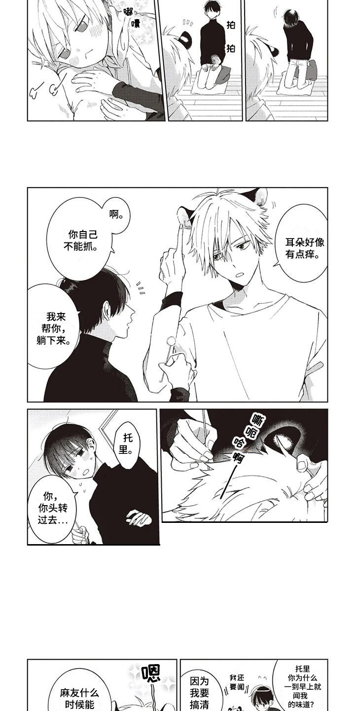 第1章：小老虎