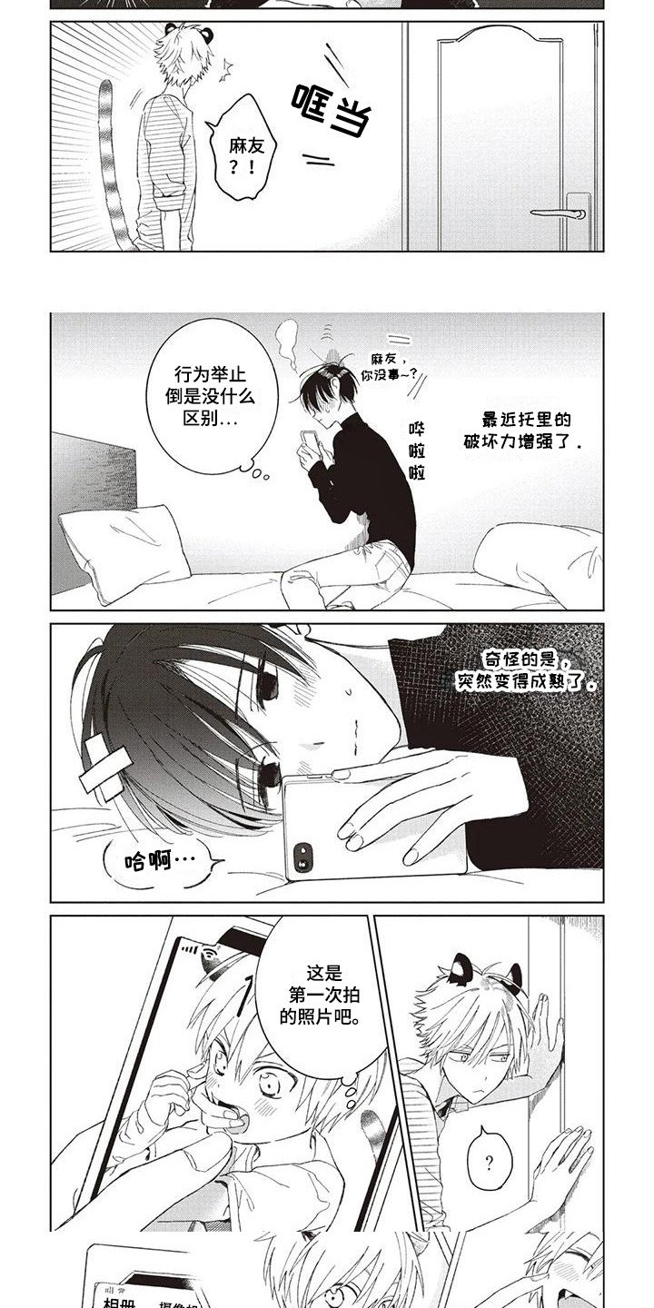 第1章：小老虎