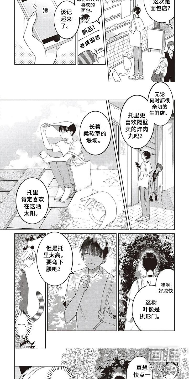 第12章：托里的将来