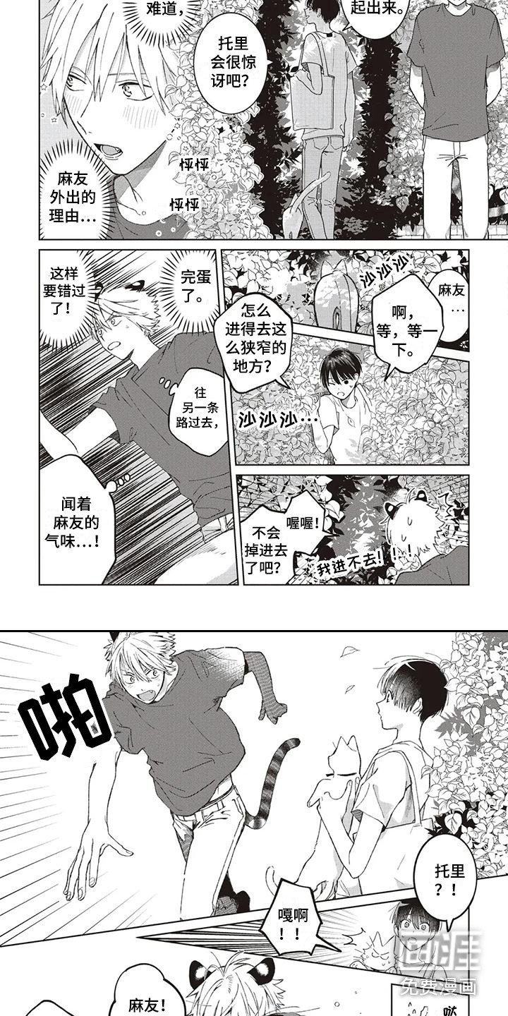 第12章：托里的将来
