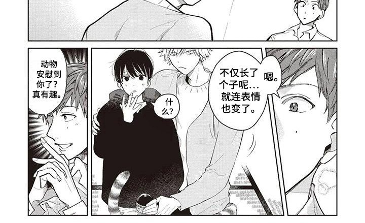 第13章：安逸的生活