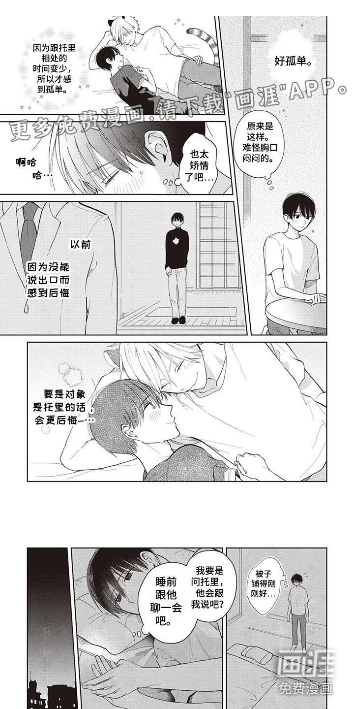 第16章：解释