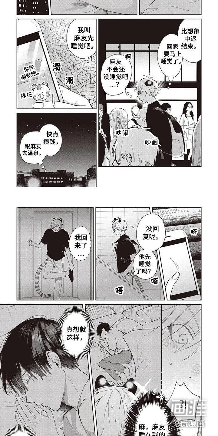 第16章：解释