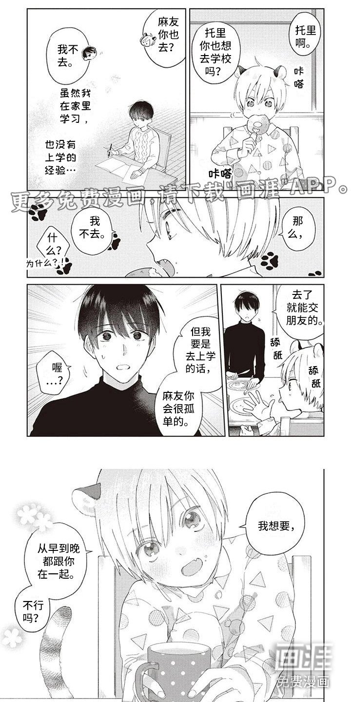 第23章：循序渐进