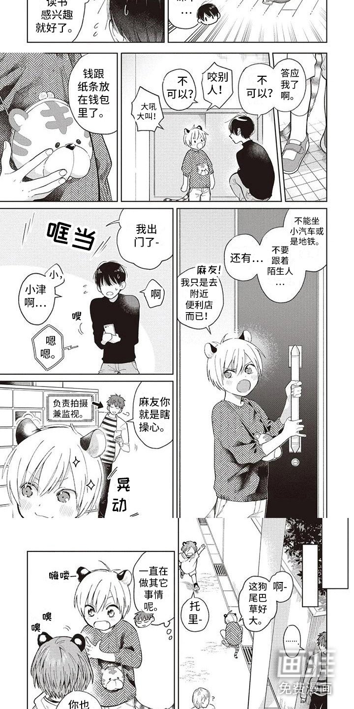 第23章：循序渐进