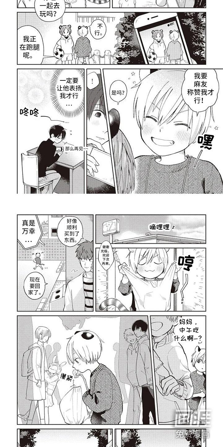 第23章：循序渐进