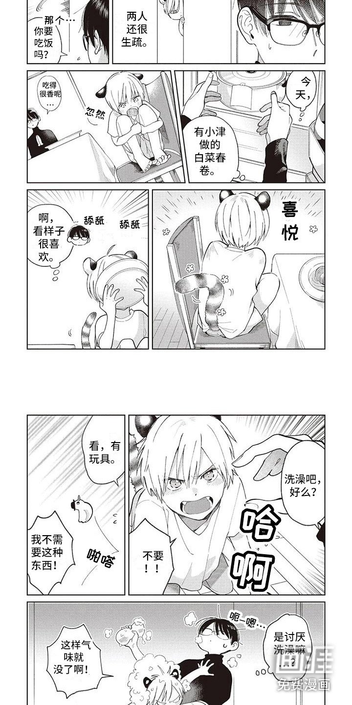 第23章：循序渐进