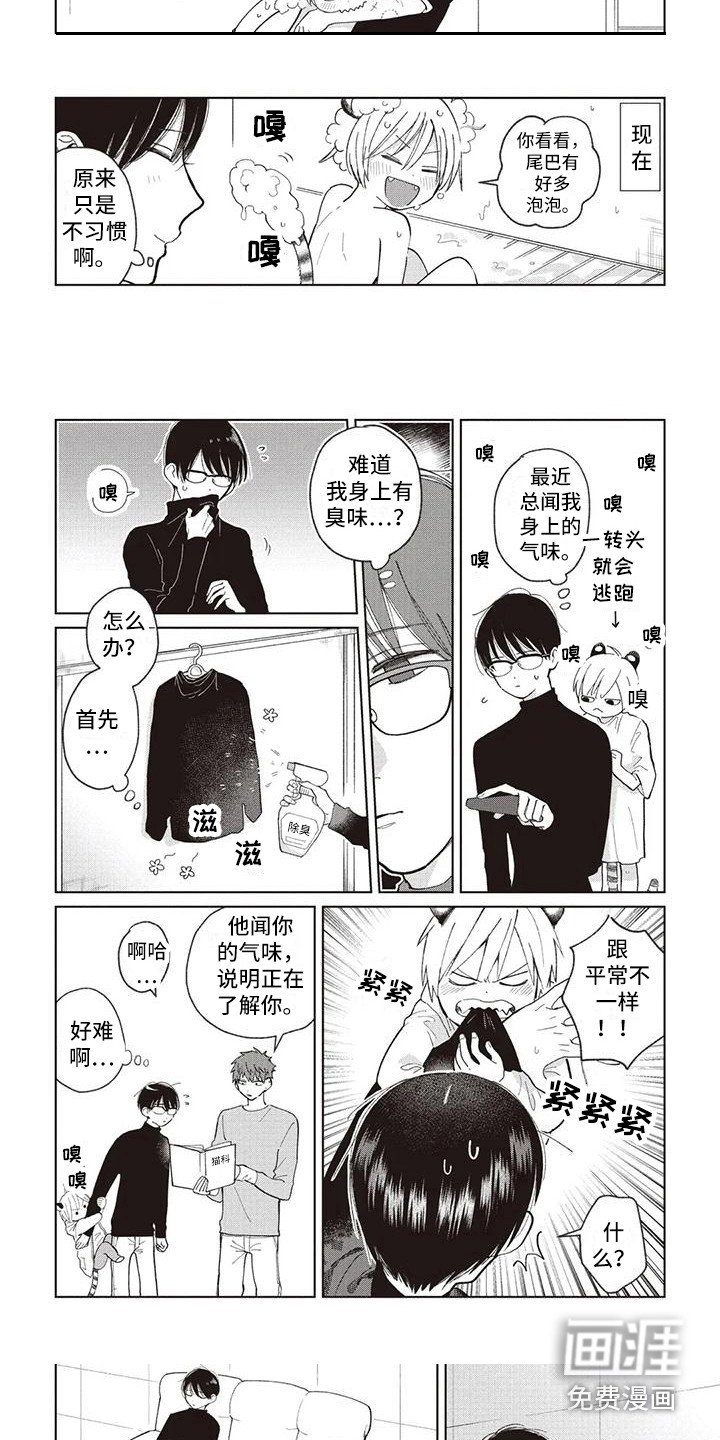 第23章：循序渐进