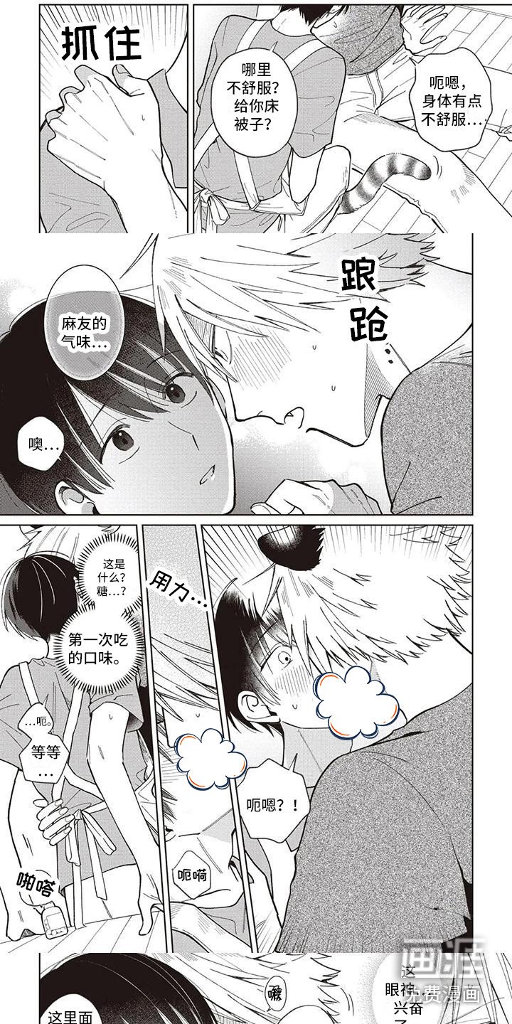 第25章：托里与天木蓼