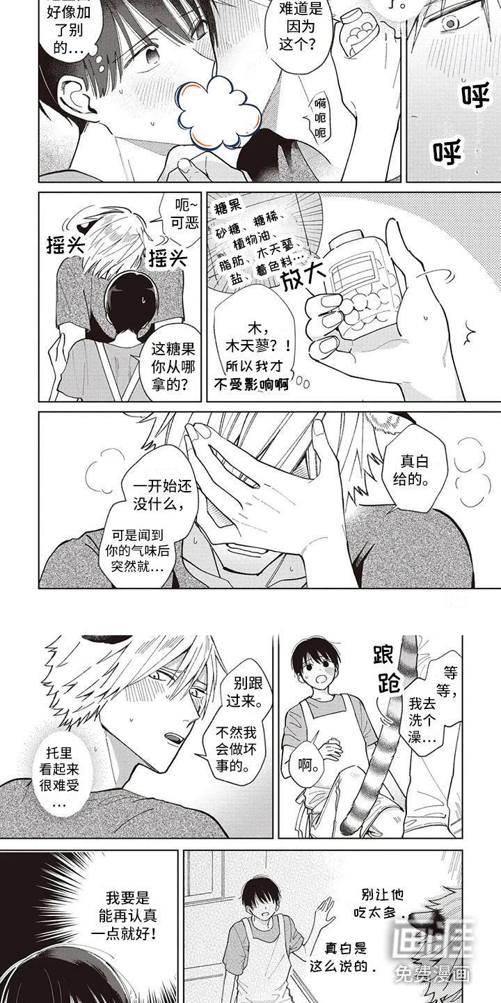 第25章：托里与天木蓼