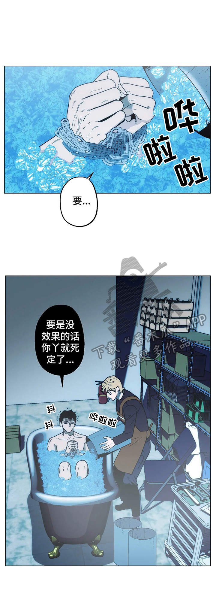 第11章：实验