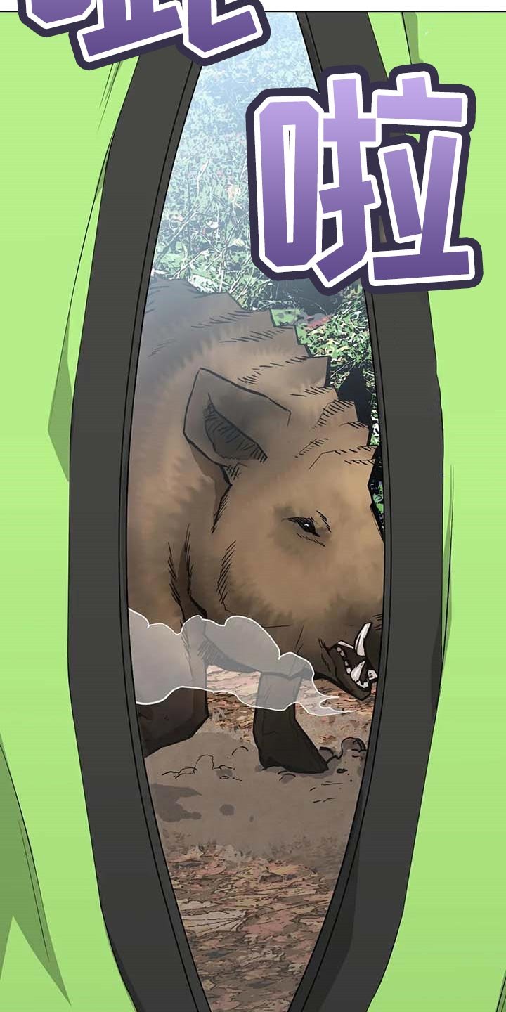 第35章：野猪