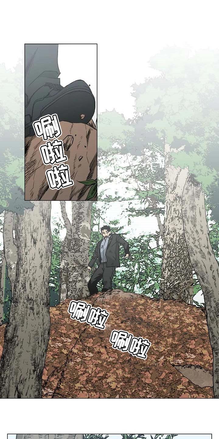 第36章：野猪的痕迹