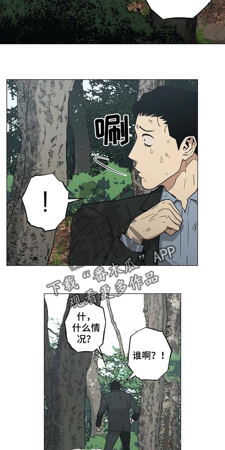 第36章：野猪的痕迹