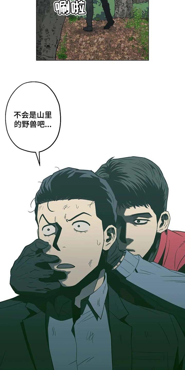第36章：野猪的痕迹
