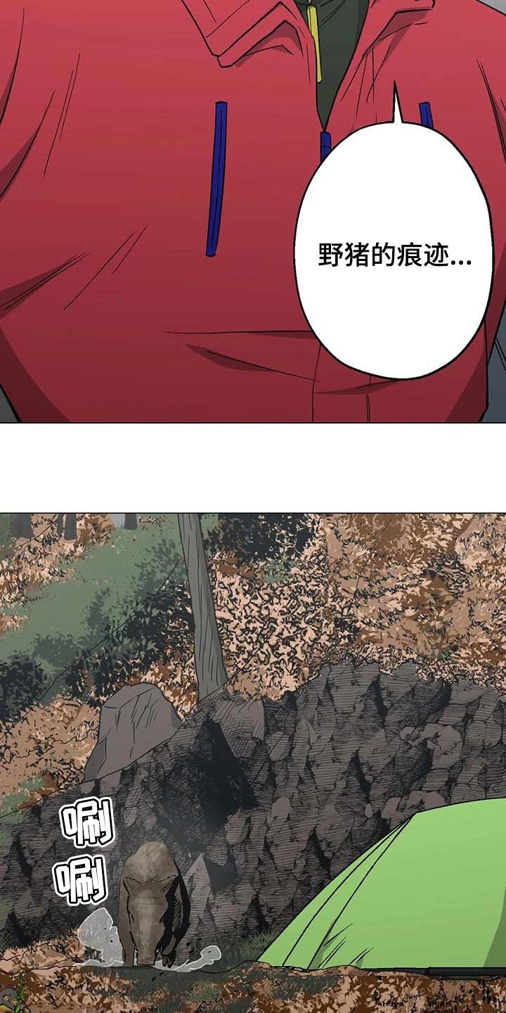 第36章：野猪的痕迹