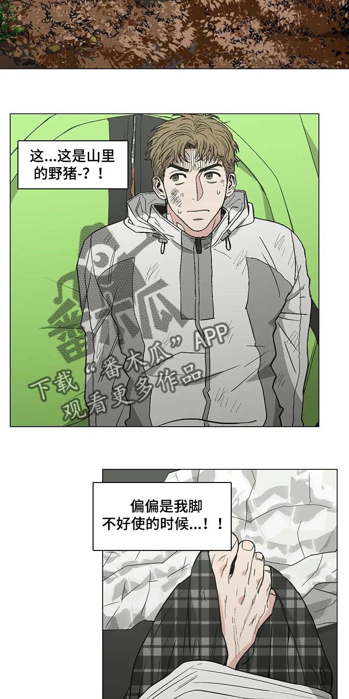 第36章：野猪的痕迹