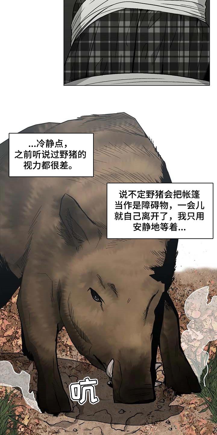 第36章：野猪的痕迹