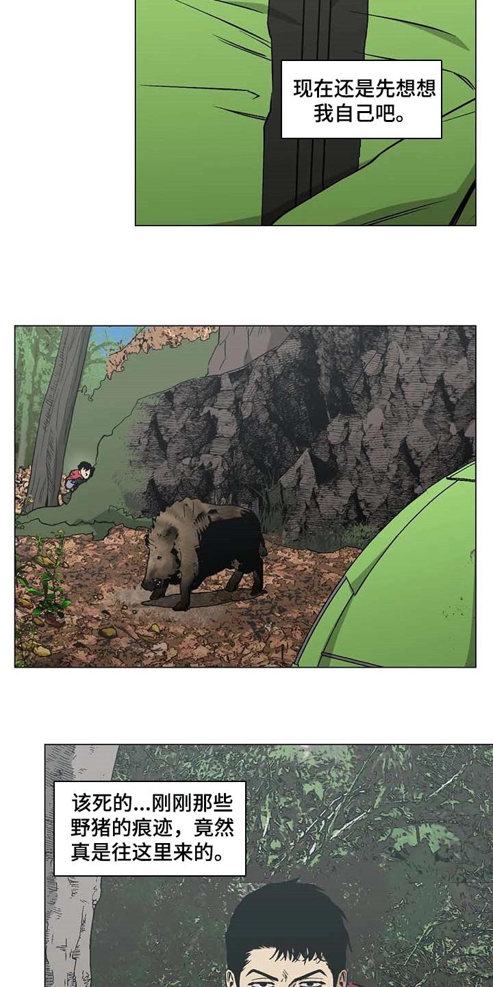 第37章：又多了一只