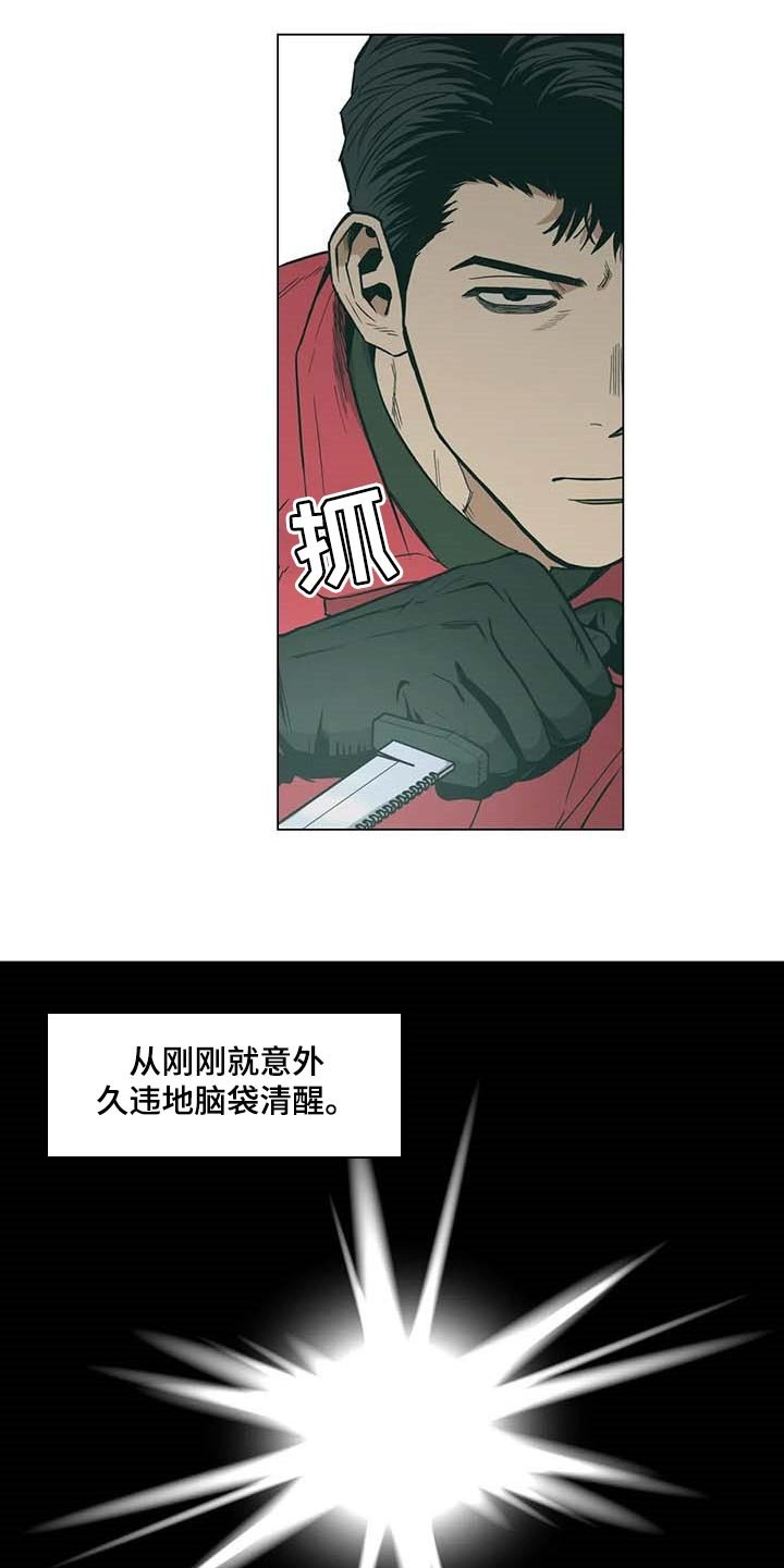 第37章：又多了一只