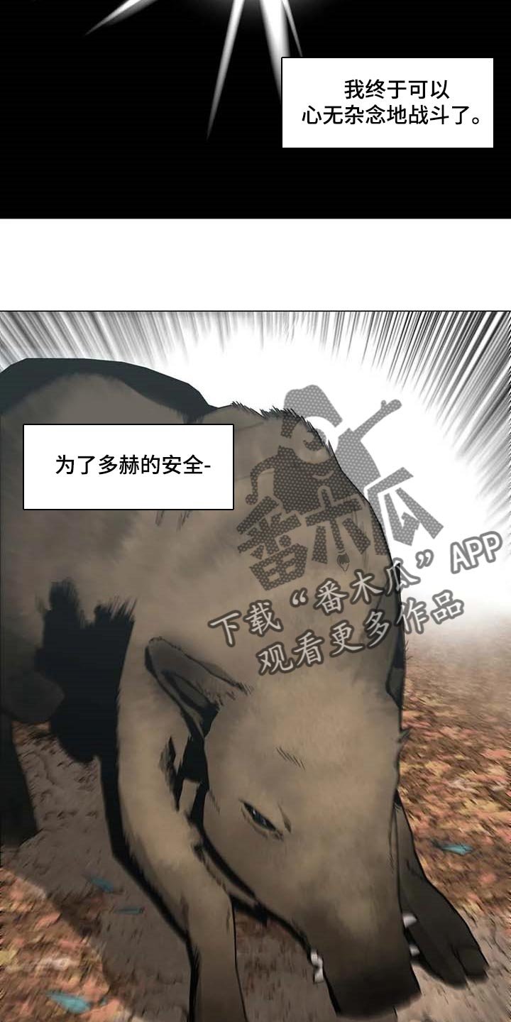 第37章：又多了一只