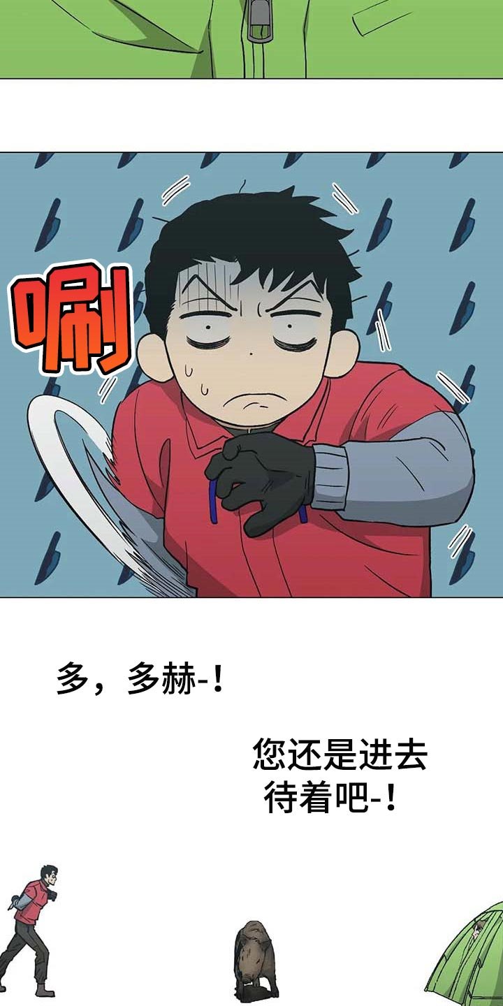 第37章：又多了一只