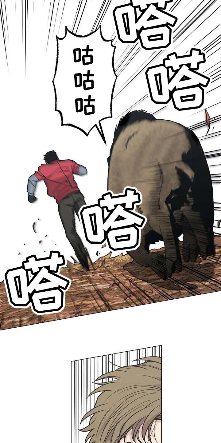 第37章：又多了一只