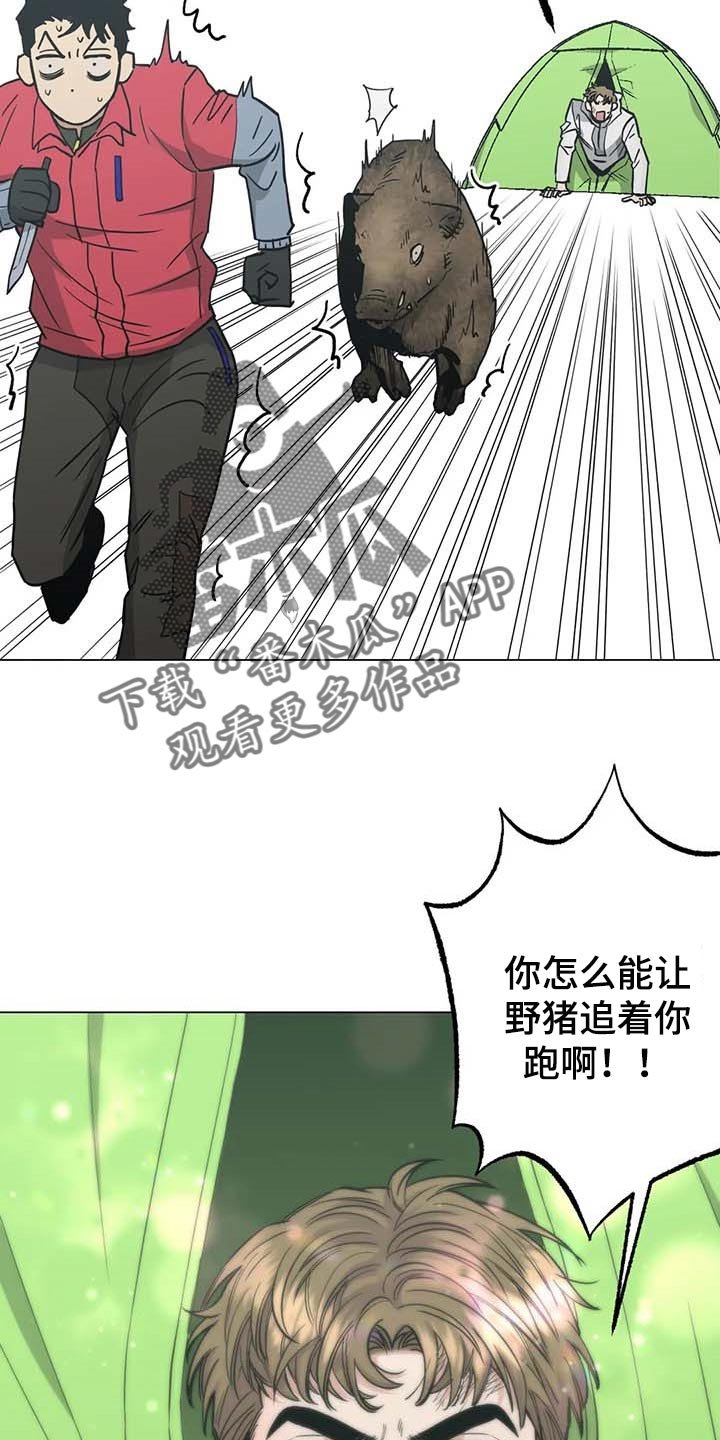 第37章：又多了一只