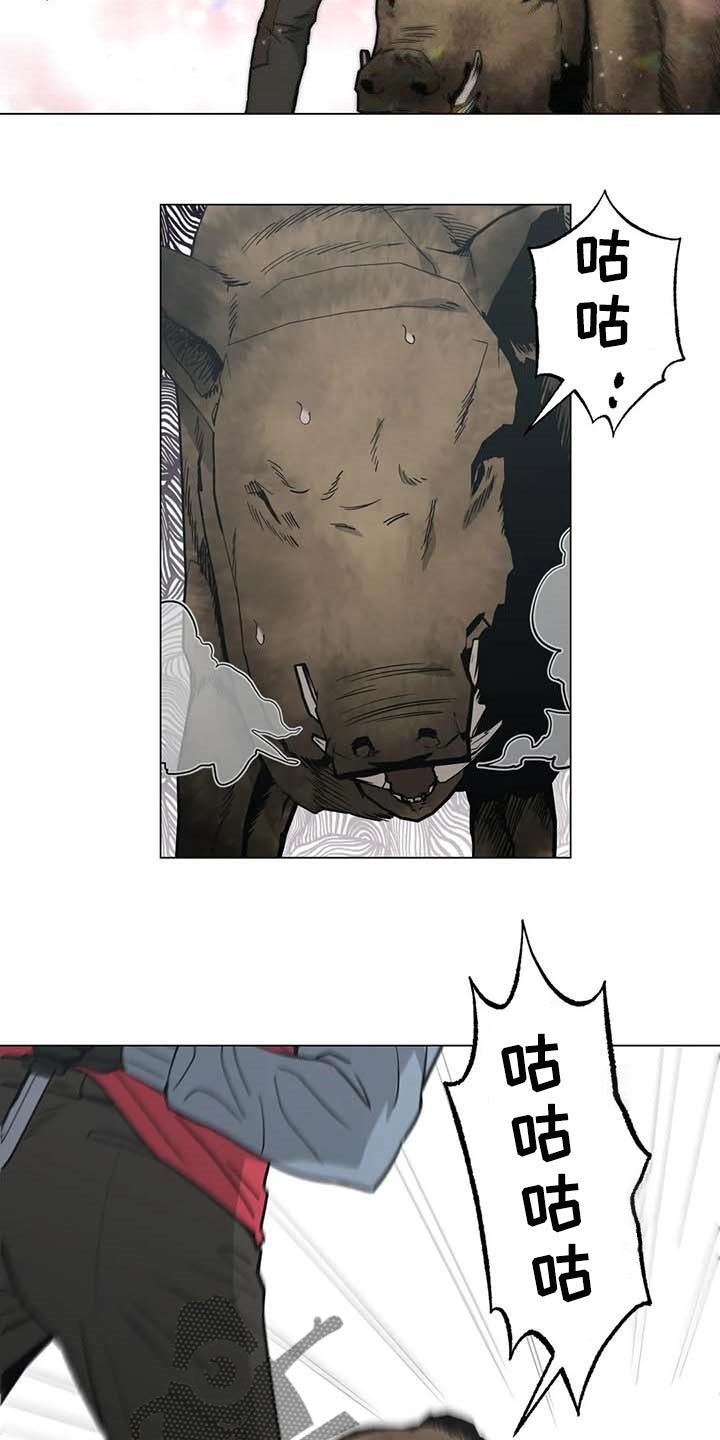 第37章：又多了一只