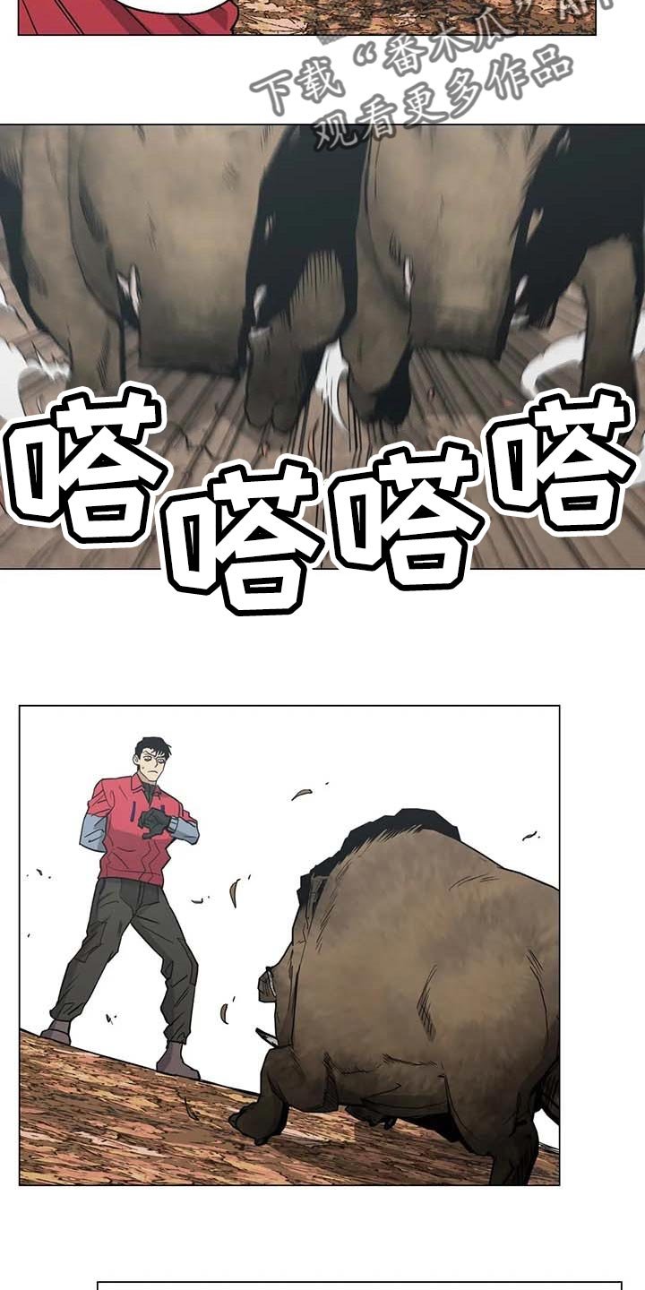第37章：又多了一只
