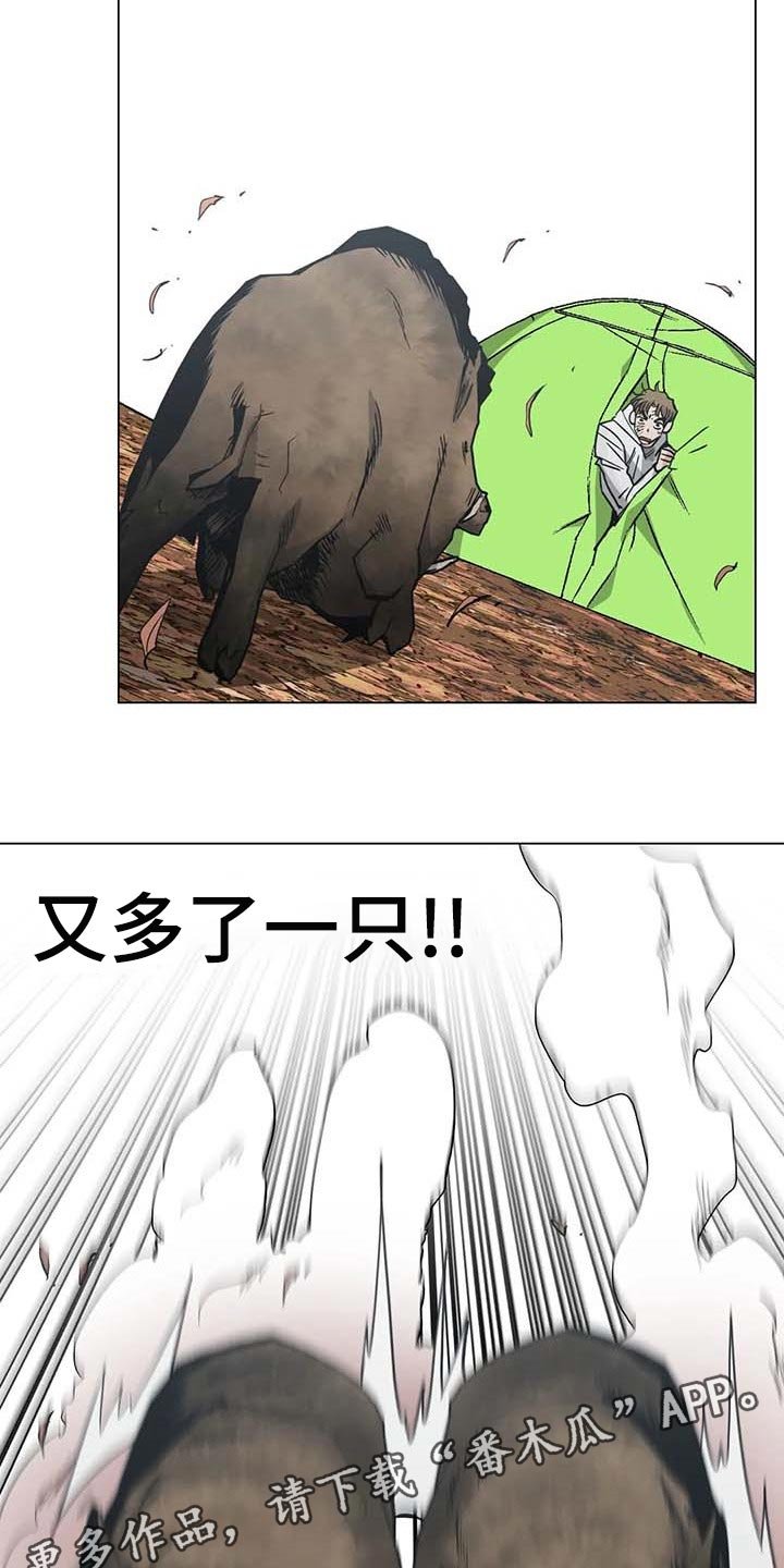 第37章：又多了一只