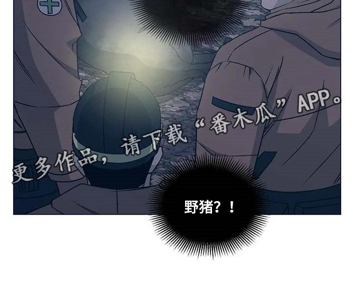 第39章：想不出对策