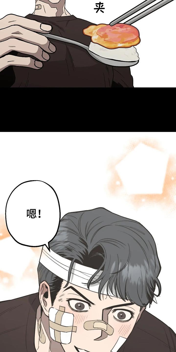 第52章：意见