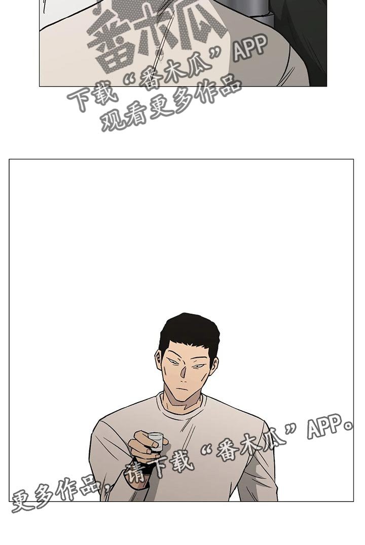 第52章：意见