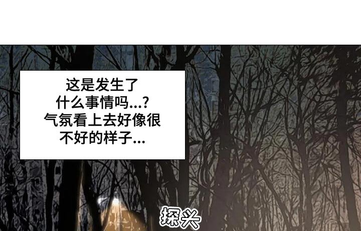 第55章：看谁赢到最后吧