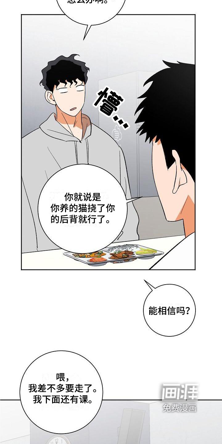 第29章：应对