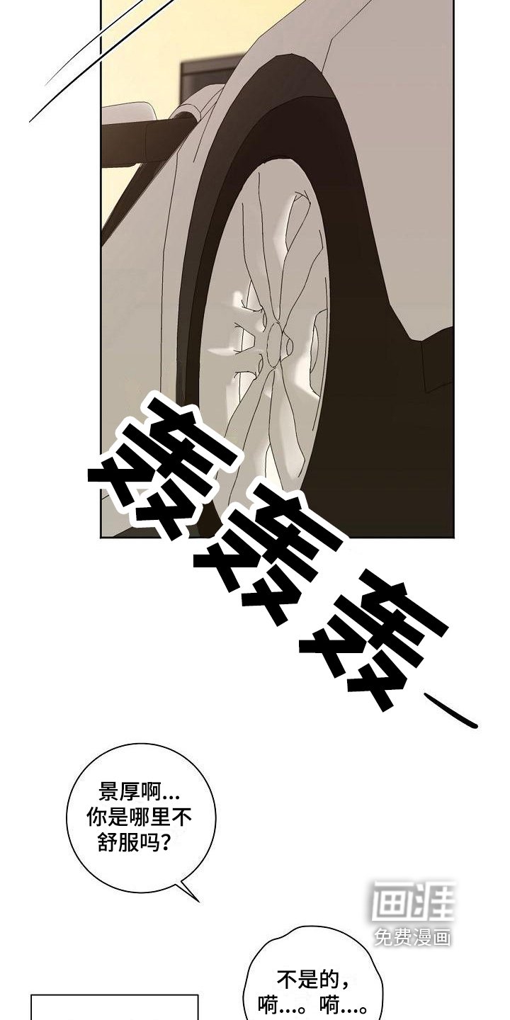 第29章：应对
