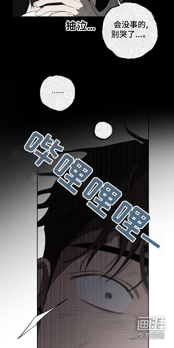 第43章：明天见