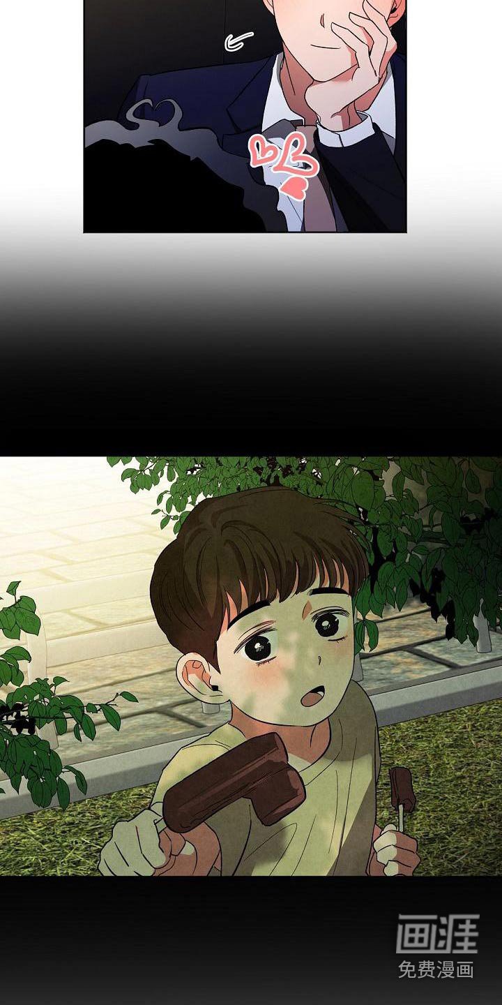 第52章：看待