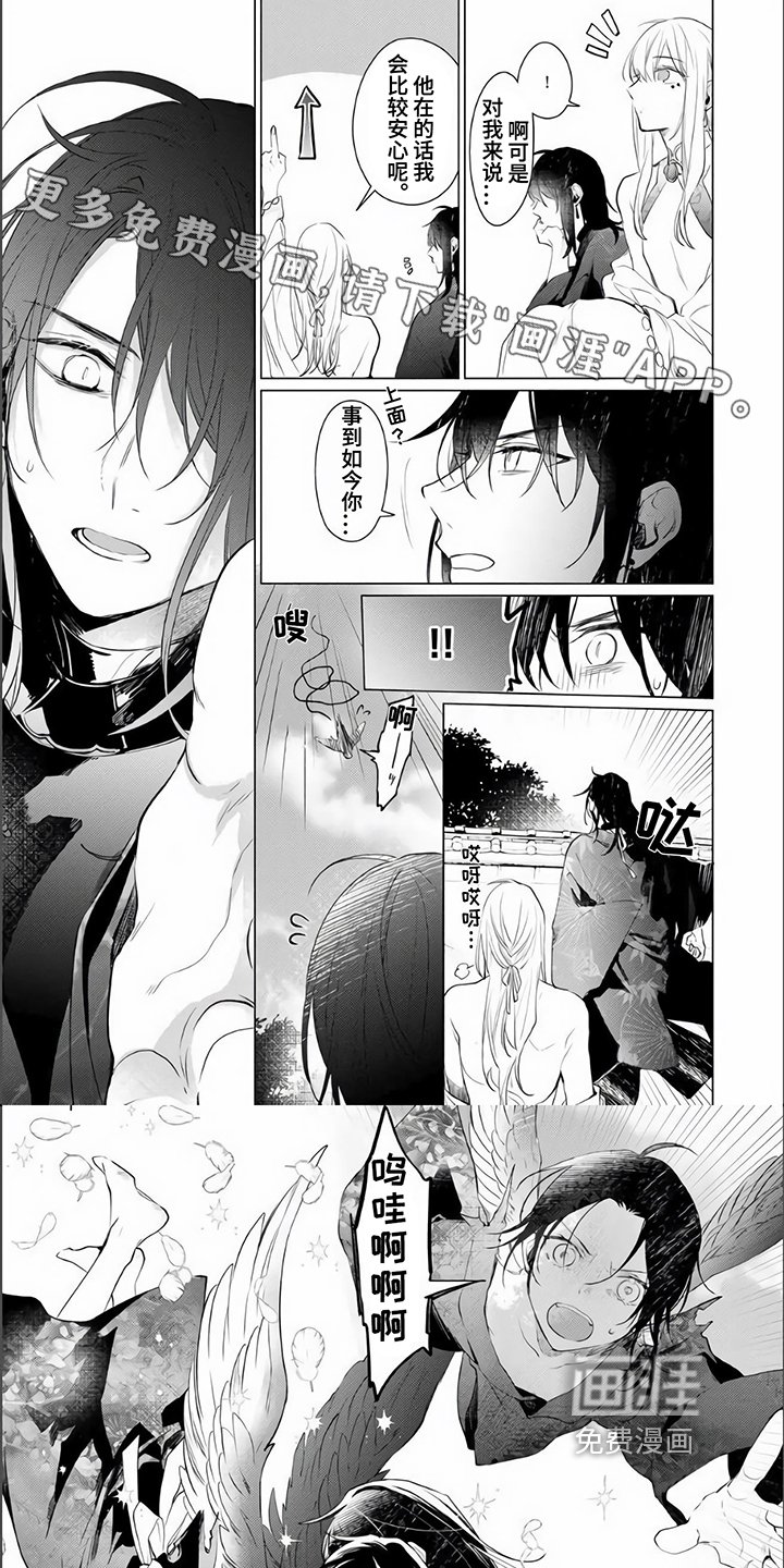 第17章：归宿【完结】