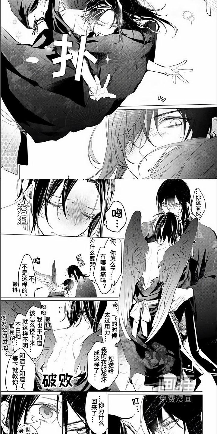 第17章：归宿【完结】