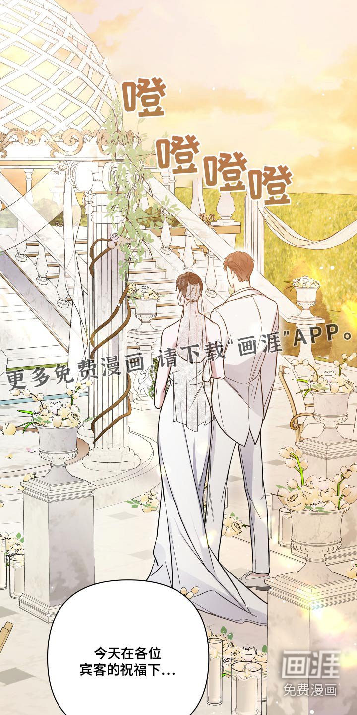 第110章：姐姐结婚