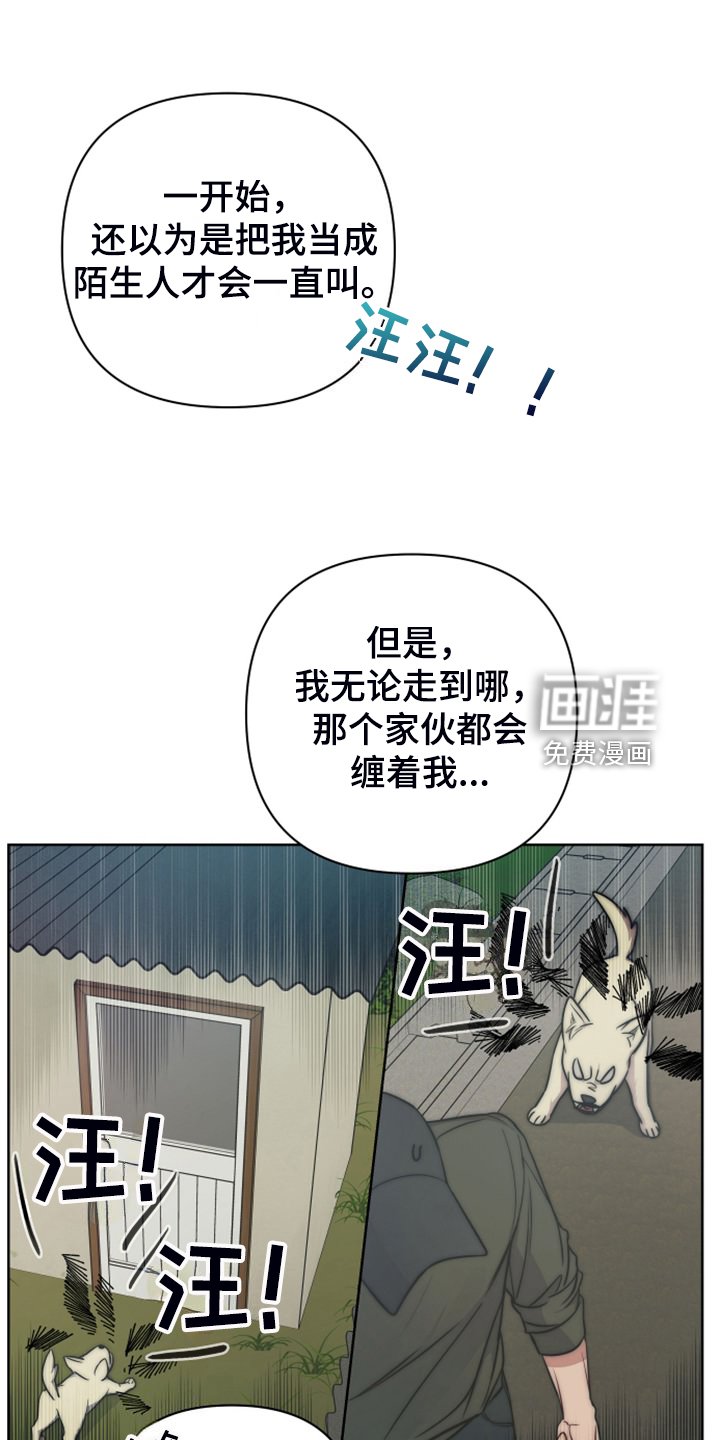 第50章：凶悍的小狗