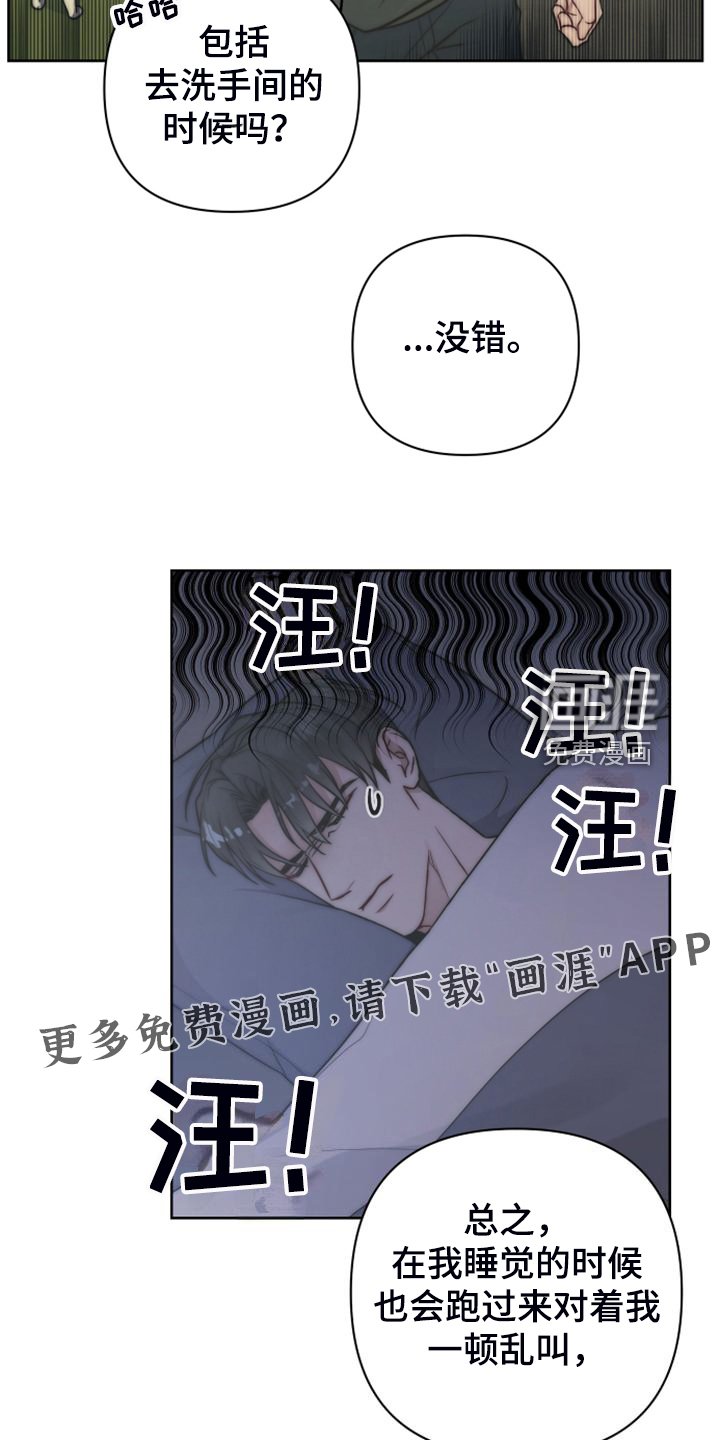 第50章：凶悍的小狗