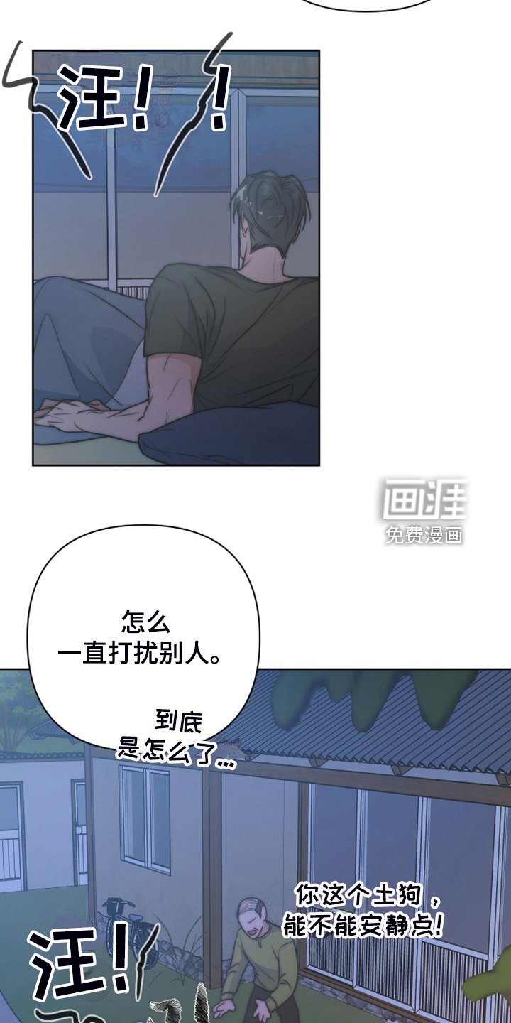 第50章：凶悍的小狗