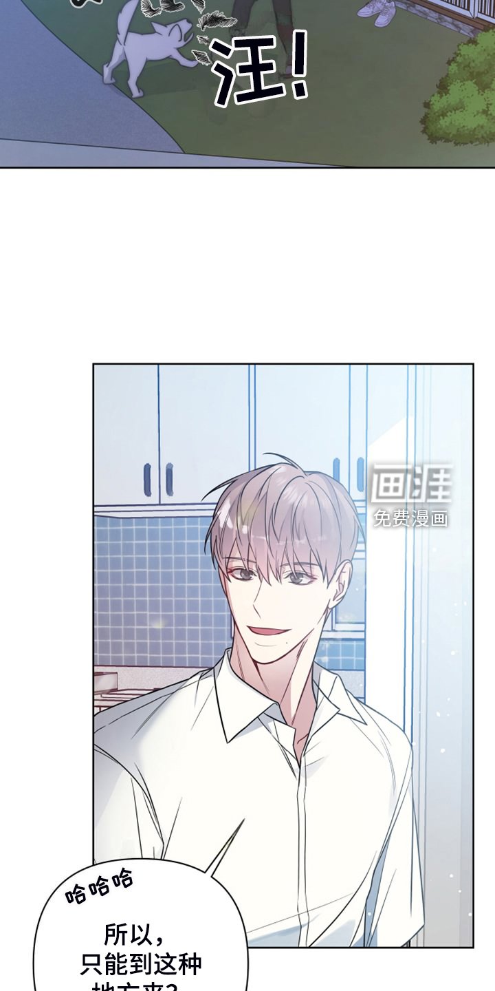 第50章：凶悍的小狗