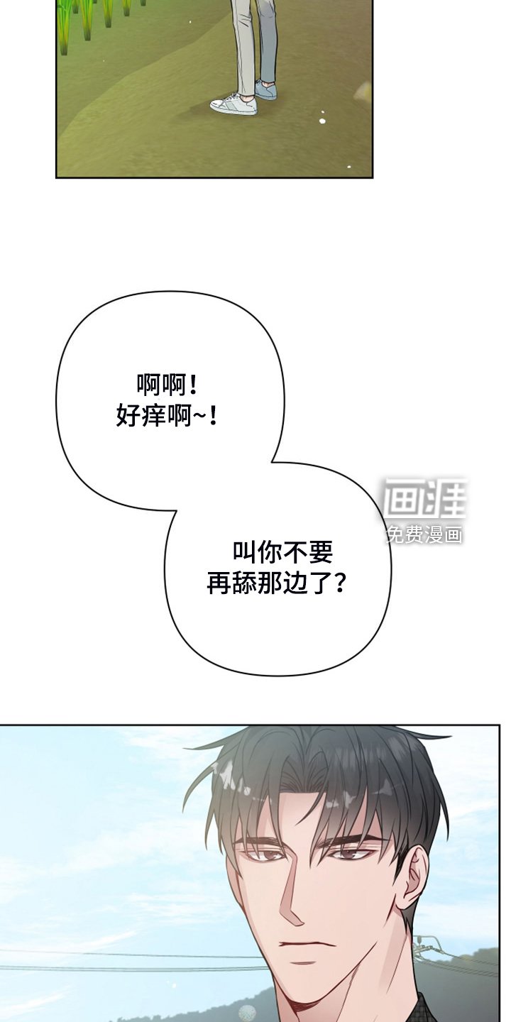 第50章：凶悍的小狗
